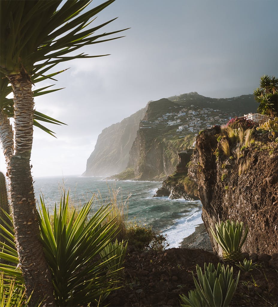 Explore the rugged and lush Madeira coastline featuring dramatic cliffs and thriving vegetation.