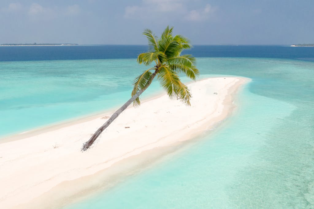 Serene tropical island in the Maldives with turquoise waters and a lone palm tree.