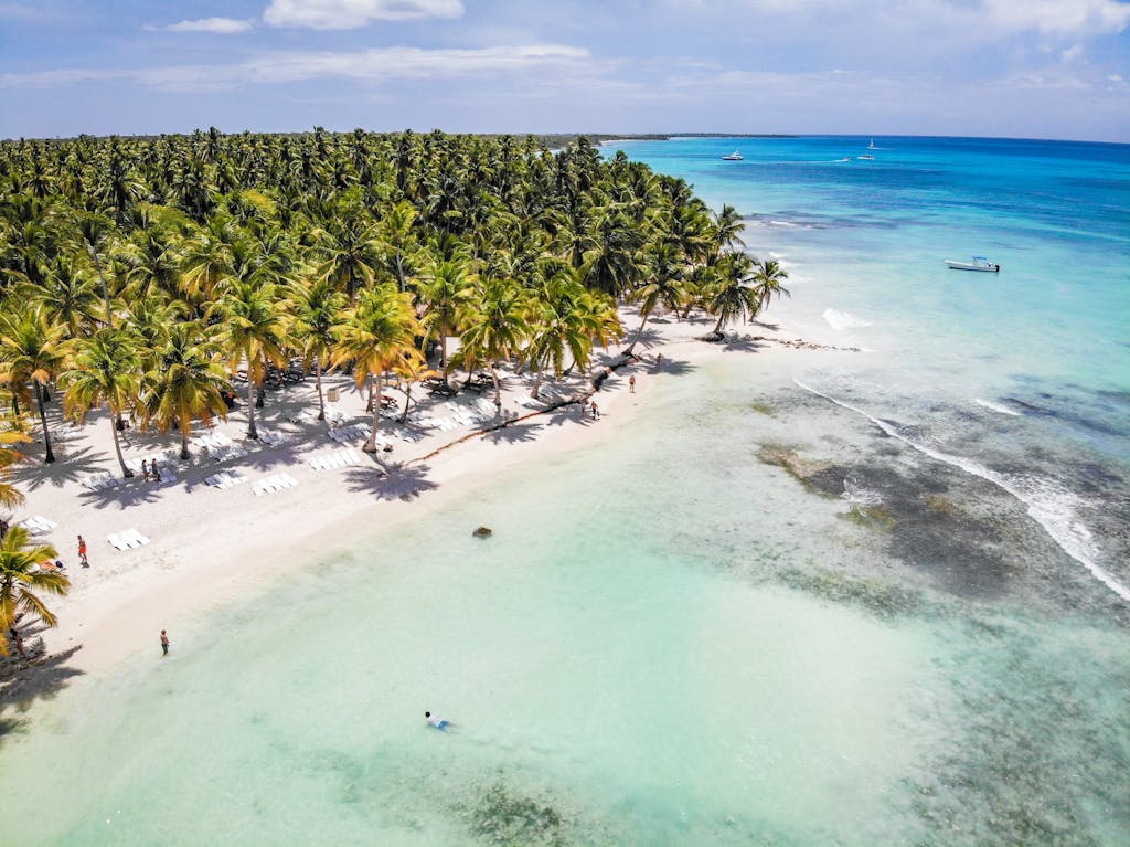 Stunning aerial view of a tropical beach with palm trees and turquoise waters, perfect for a relaxing vacation.